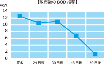 BDO推移